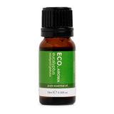 Eco Aroma Eucalyptus 10 ml